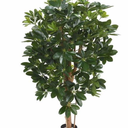 Künstlicher Schefflera, ca. 110cm hoch, grün