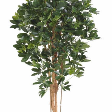 Künstliche Schefflera, ca. 150cm hoch, grün