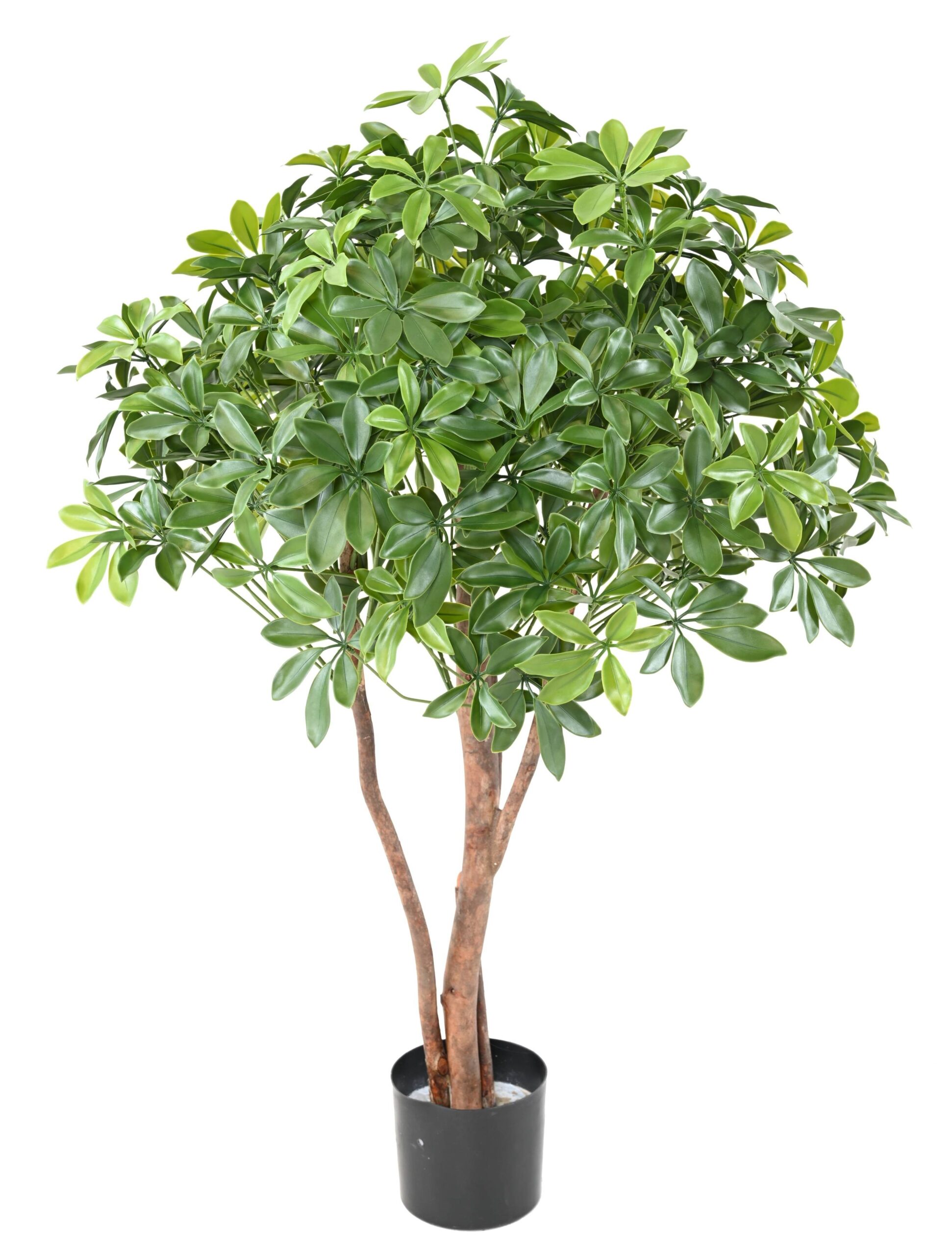 Künstlicher Schefflera Busch, ca 110cm - UV-Beständig, grün 1 Künstlicher Schefflera Busch, ca 110cm - UV-Beständig, grün