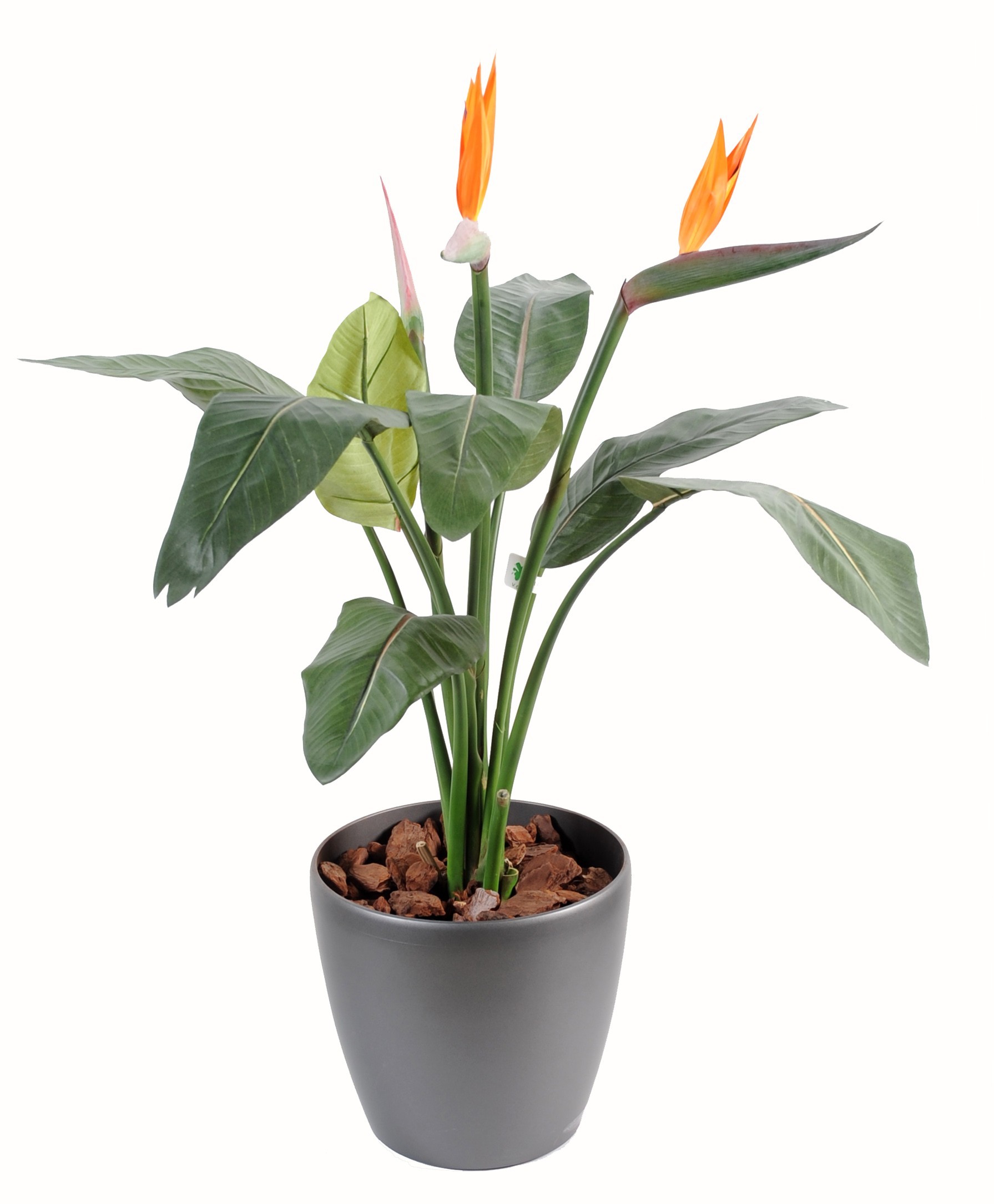 Künstliche Strelitzia, ca. 95cm, bunt 1 Künstliche Strelitzia, ca. 95cm, bunt