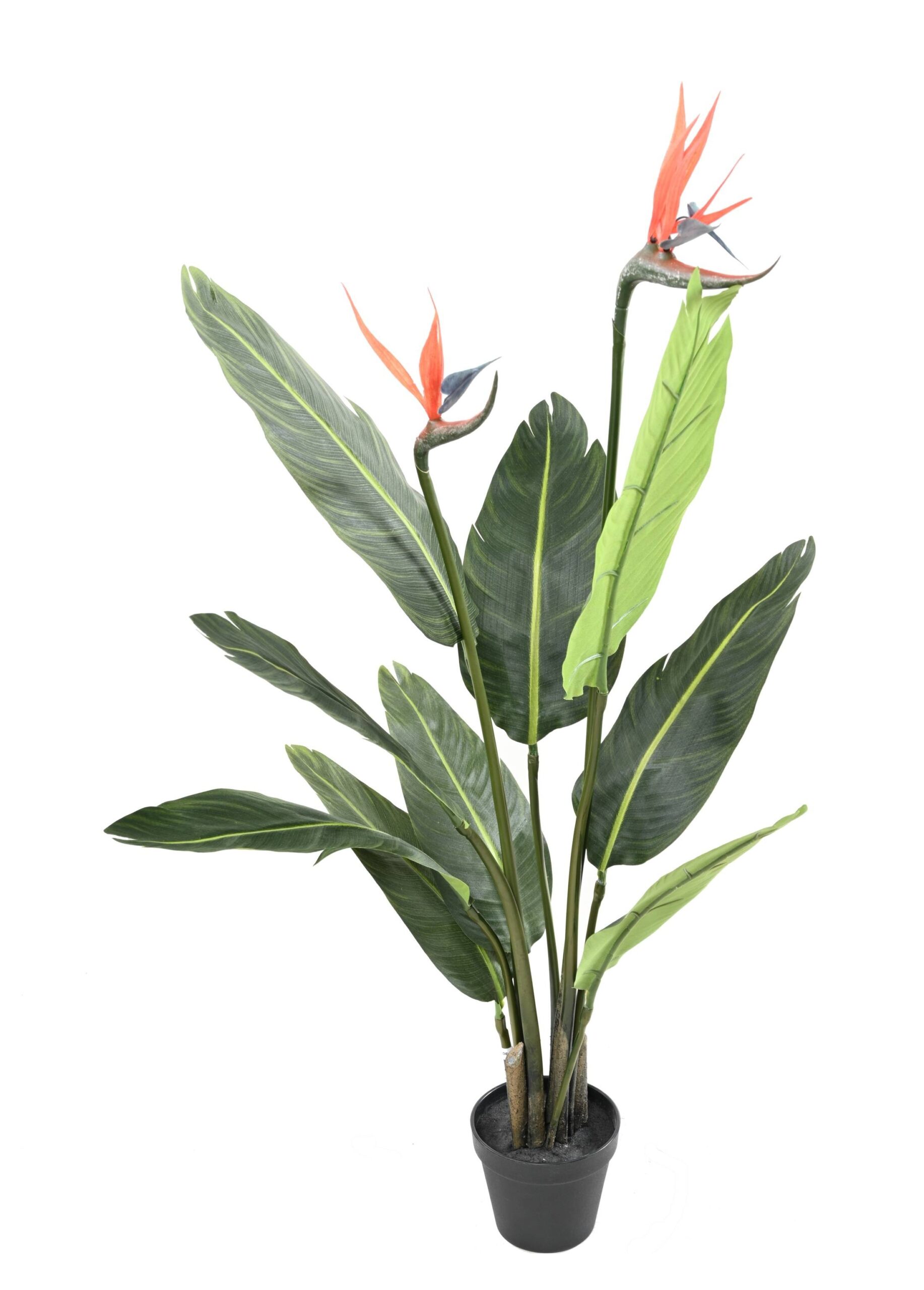 Künstliche Strelitzie, ca. 95cm, bunt 1 Künstliche Strelitzie, ca. 95cm, bunt