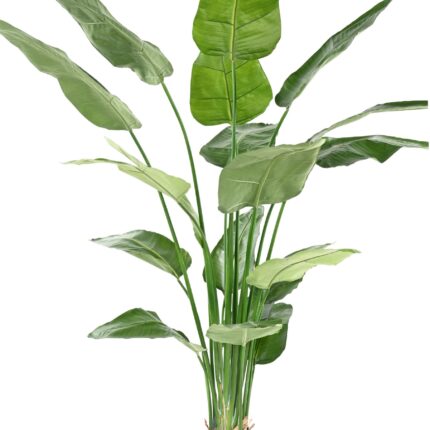 Künstliche Strelitzia Nicolai, ca. 220cm, grün