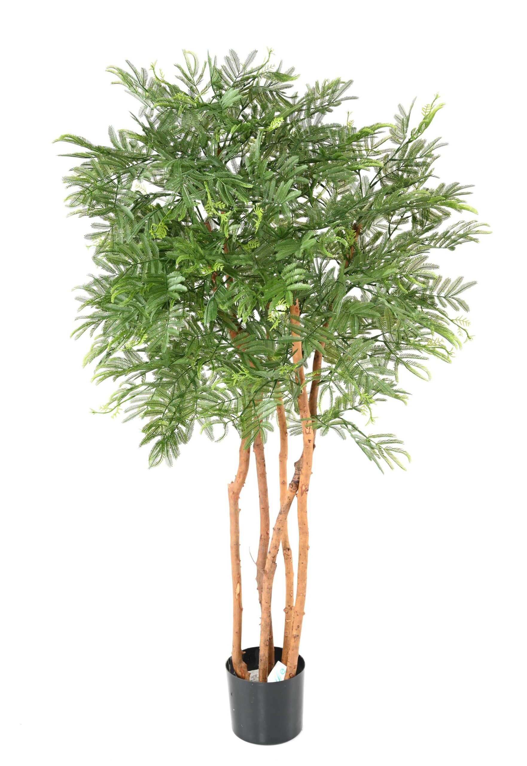 Künstlicher Tamarindenbaum, ca 150cm - UV-Beständig, grün 1 Künstlicher Tamarindenbaum, ca 150cm - UV-Beständig, grün