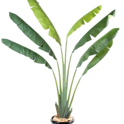 Künstlicher Reisender Baum, ca. 250cm, grün