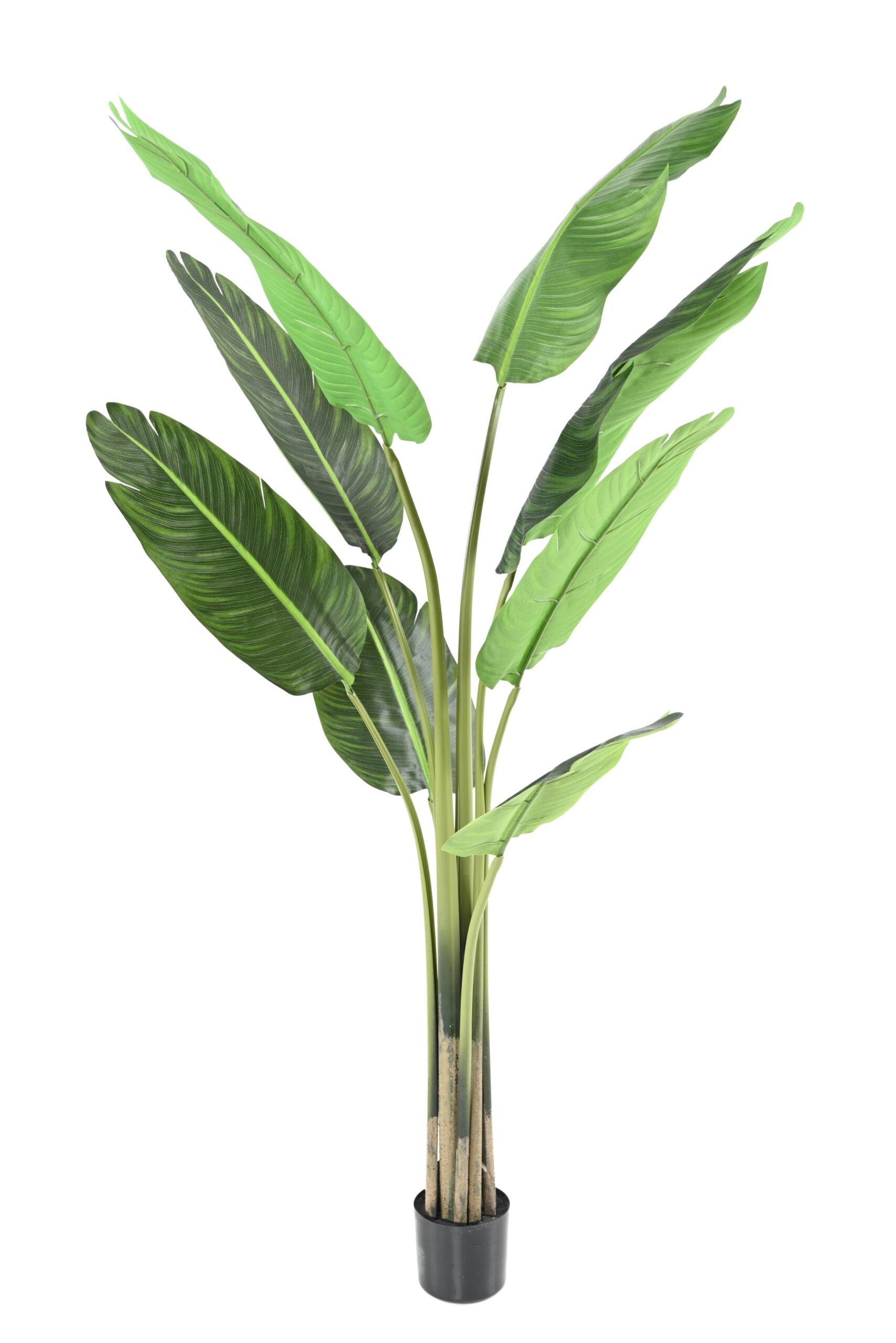 Künstliche Reisende Palme, ca. 150cm, grün 1 Künstliche Reisende Palme, ca. 150cm, grün