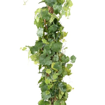 Künstlicher Weinbaum, ca. 200cm hoch, grün