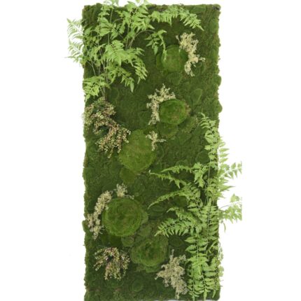Pflanzenwand Farn Moos mix| Individuelle Anfertigung auf Bestellung -  180x80cm