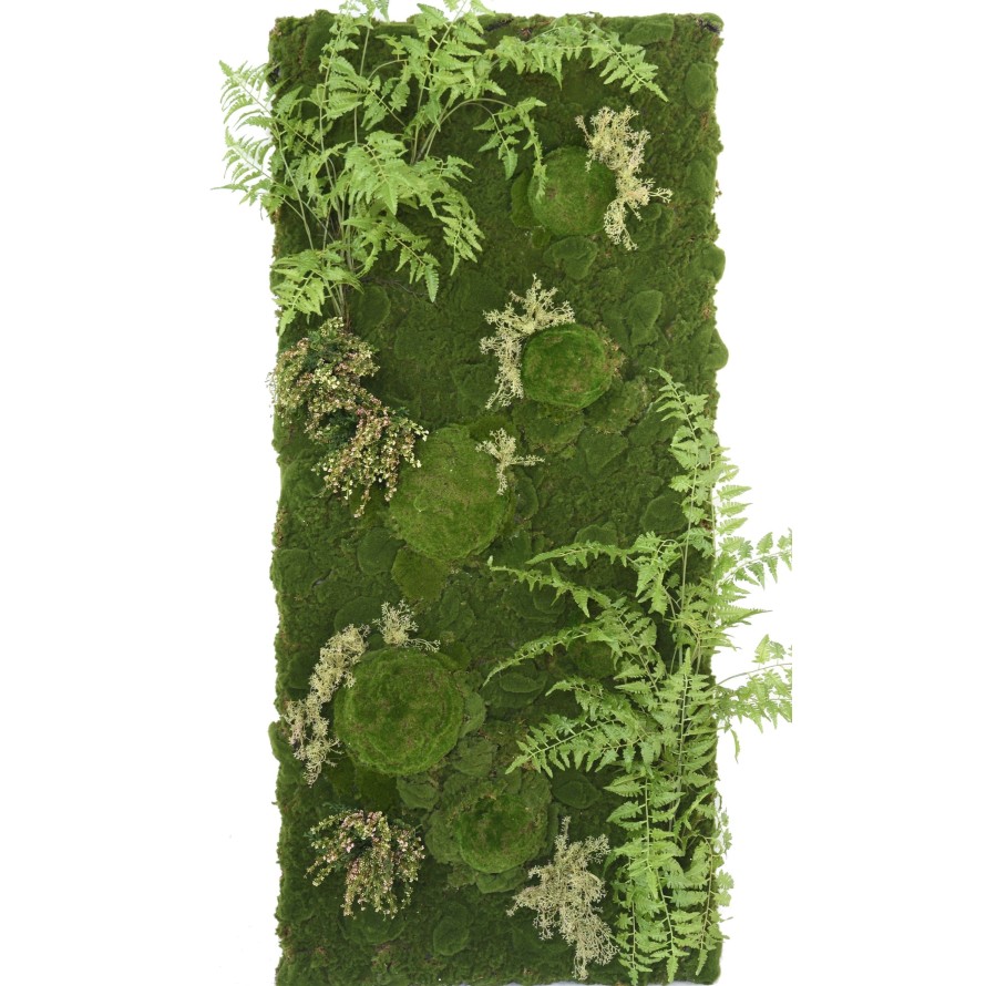 Pflanzenwand Farn Moos mix| Individuelle Anfertigung auf Bestellung - 180x80cm 1 Pflanzenwand Farn Moos mix| Individuelle Anfertigung auf Bestellung - 180x80cm