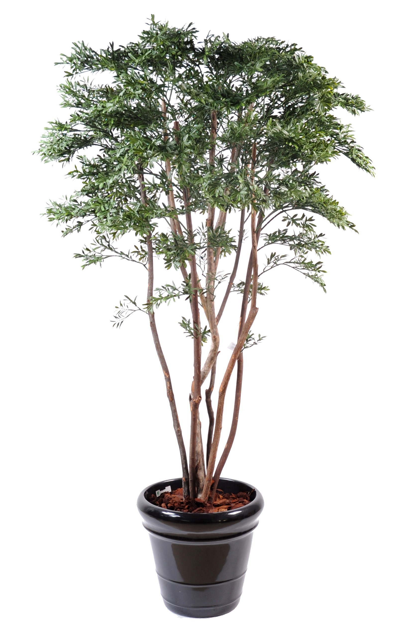 Künstlicher Amerikanischer Weidenbaum, ca 175cm, grün 1 Künstlicher Amerikanischer Weidenbaum, ca 175cm, grün