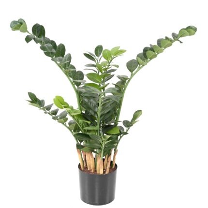 Künstliche Zamia, ca. 90cm hoch, grün