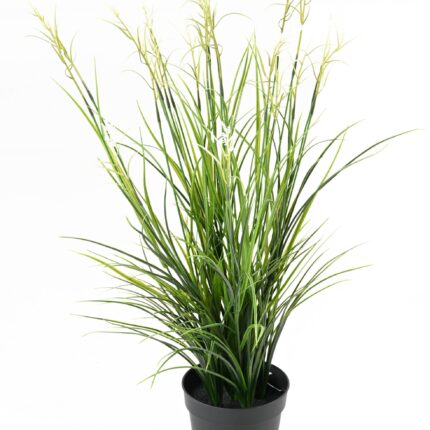 ACORUS Blühender Topf: UV-beständige Deko für Ihr Zuhause