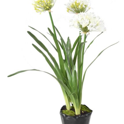 Künstliche Agapanthus im Topf, 90cm, weiss