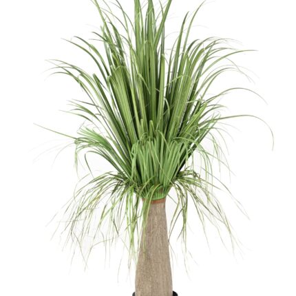 Künstliche Agave: Pflegeleichte Deko für Ihr Zuhause