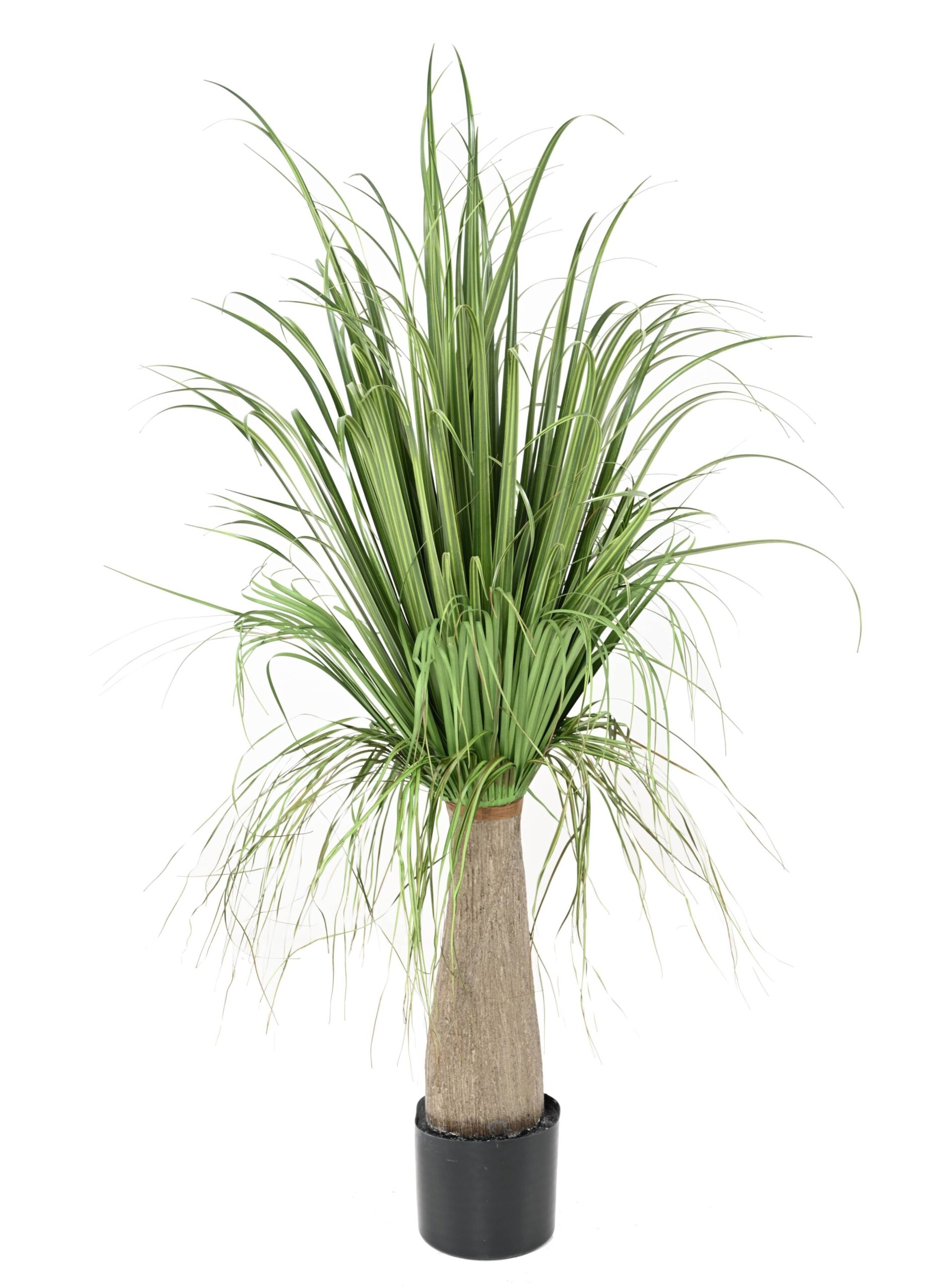 Künstliche Agave: Pflegeleichte Deko für Ihr Zuhause 1 Künstliche Agave: Pflegeleichte Deko für Ihr Zuhause