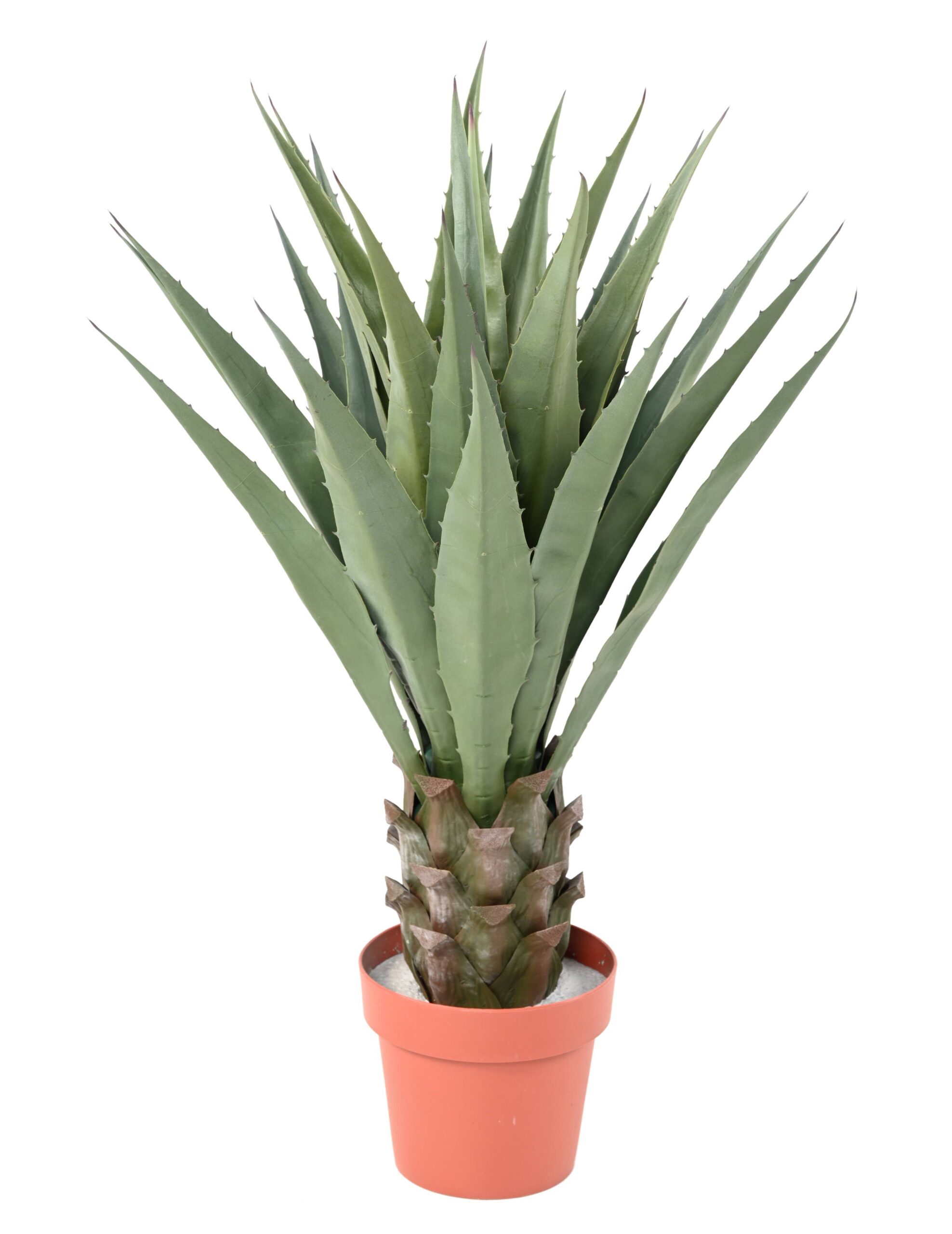 Künstliche Agave: Pflegeleichte Deko für Ihr Zuhause 1 Künstliche Agave: Pflegeleichte Deko für Ihr Zuhause