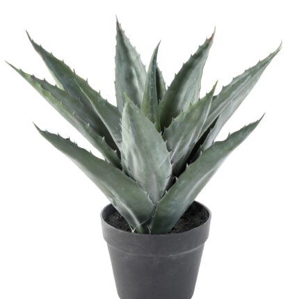 Künstliche Agave: Pflegeleichte Deko für Ihr Zuhause