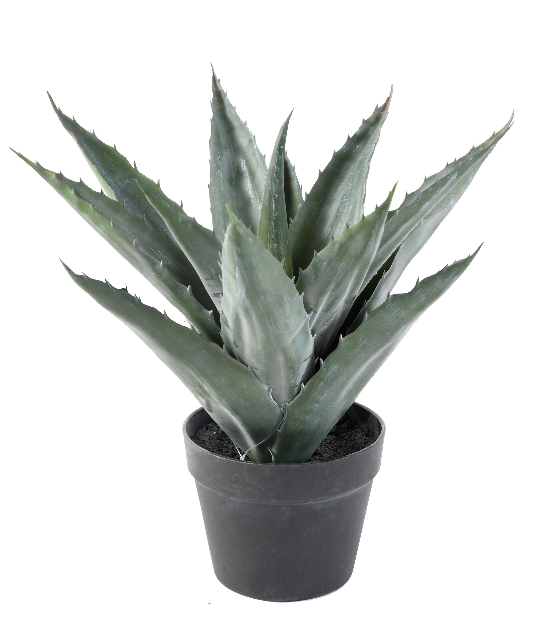 Künstliche Agave: Pflegeleichte Deko für Ihr Zuhause 1 Künstliche Agave: Pflegeleichte Deko für Ihr Zuhause