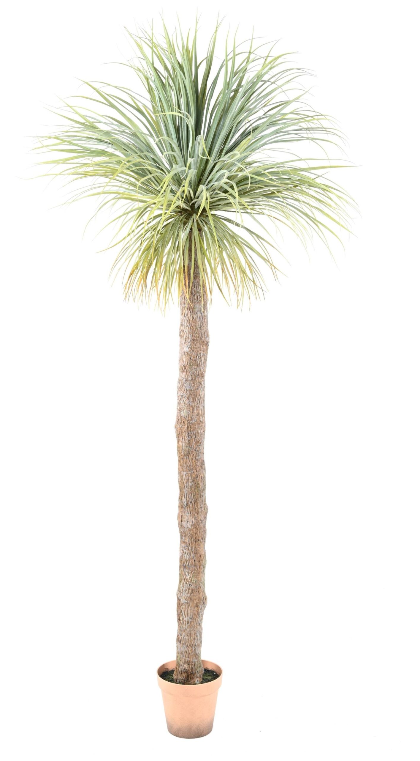 Künstliche Agave: Exotische Deko für Ihr Zuhause 1 Künstliche Agave: Exotische Deko für Ihr Zuhause