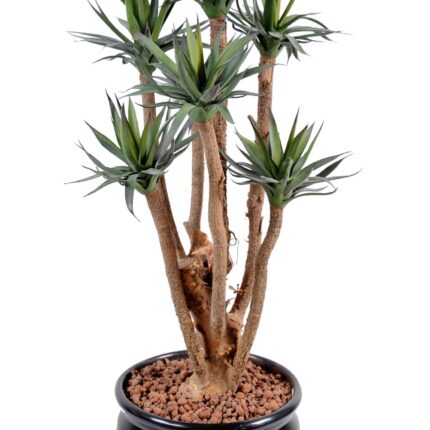 Künstliche Agave: Pflegeleichte Deko für Ihr Zuhause