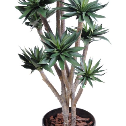 Künstliche Agave: Pflegeleichte Deko für Ihr Zuhause