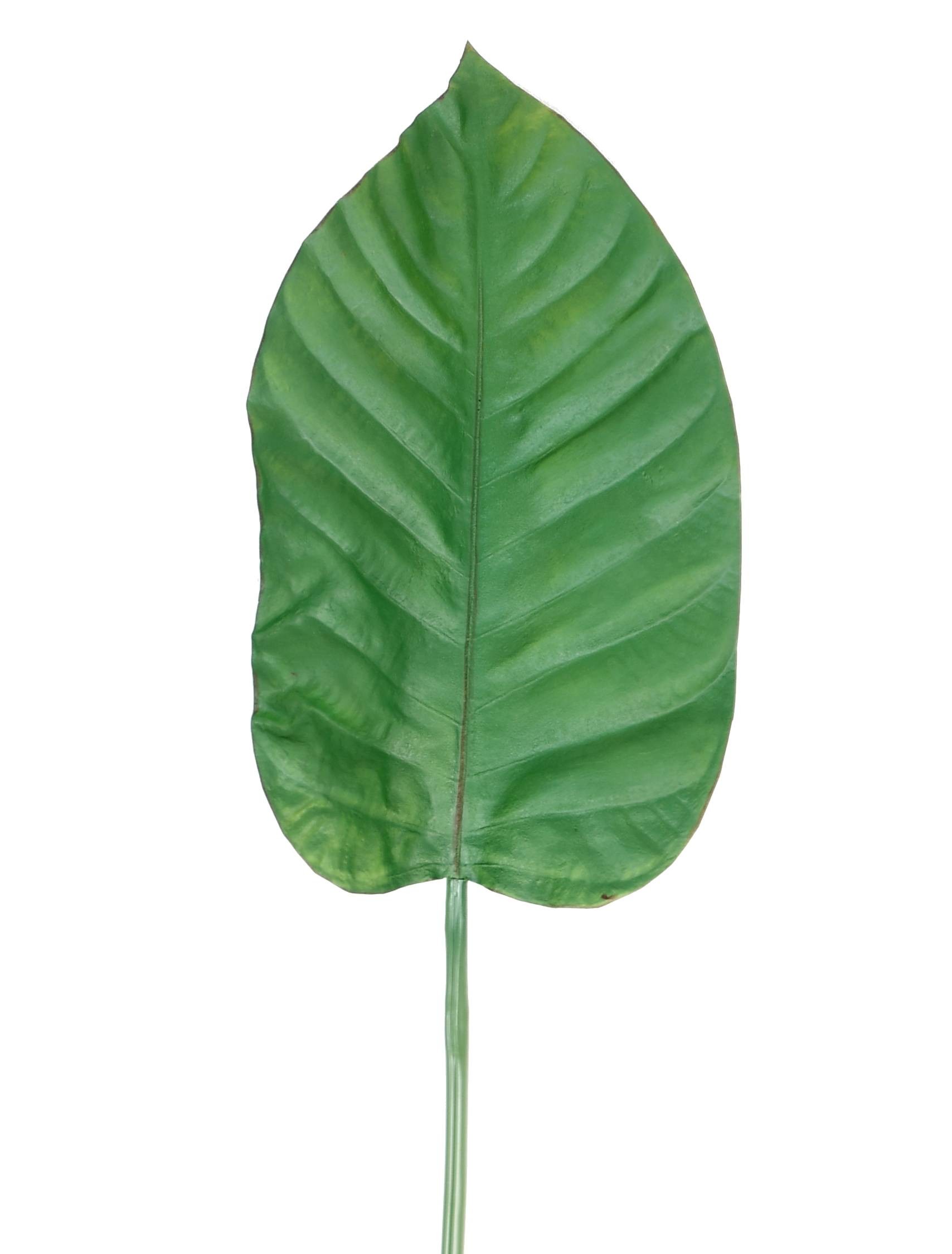 Künstlicher Alocasia Blattzweig, ca 100cm, grün 1 Künstlicher Alocasia Blattzweig, ca 100cm, grün