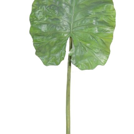 Künstlicher Alocasia Blattzweig, ca 160cm, grün