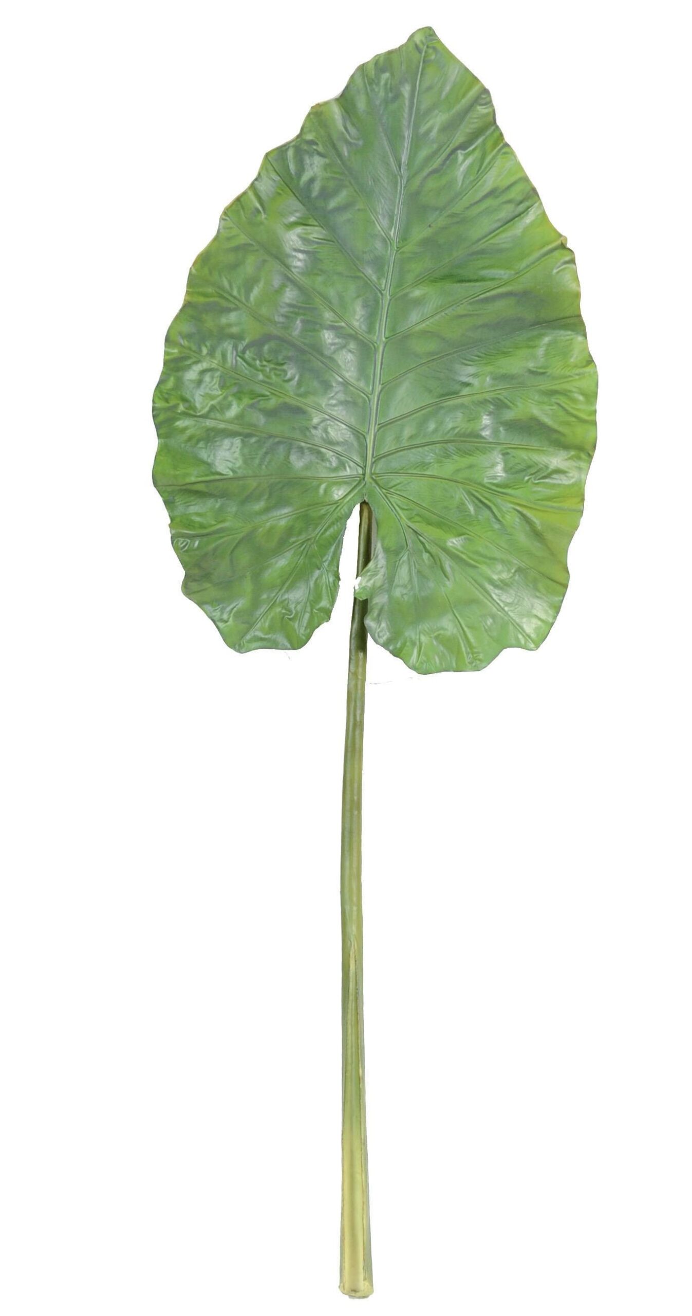Künstlicher Alocasia Blattzweig, ca 160cm, grün 1 Künstlicher Alocasia Blattzweig, ca 160cm, grün