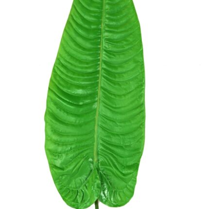 Künstlicher Alocasia Blattzweig, ca 126cm, grün