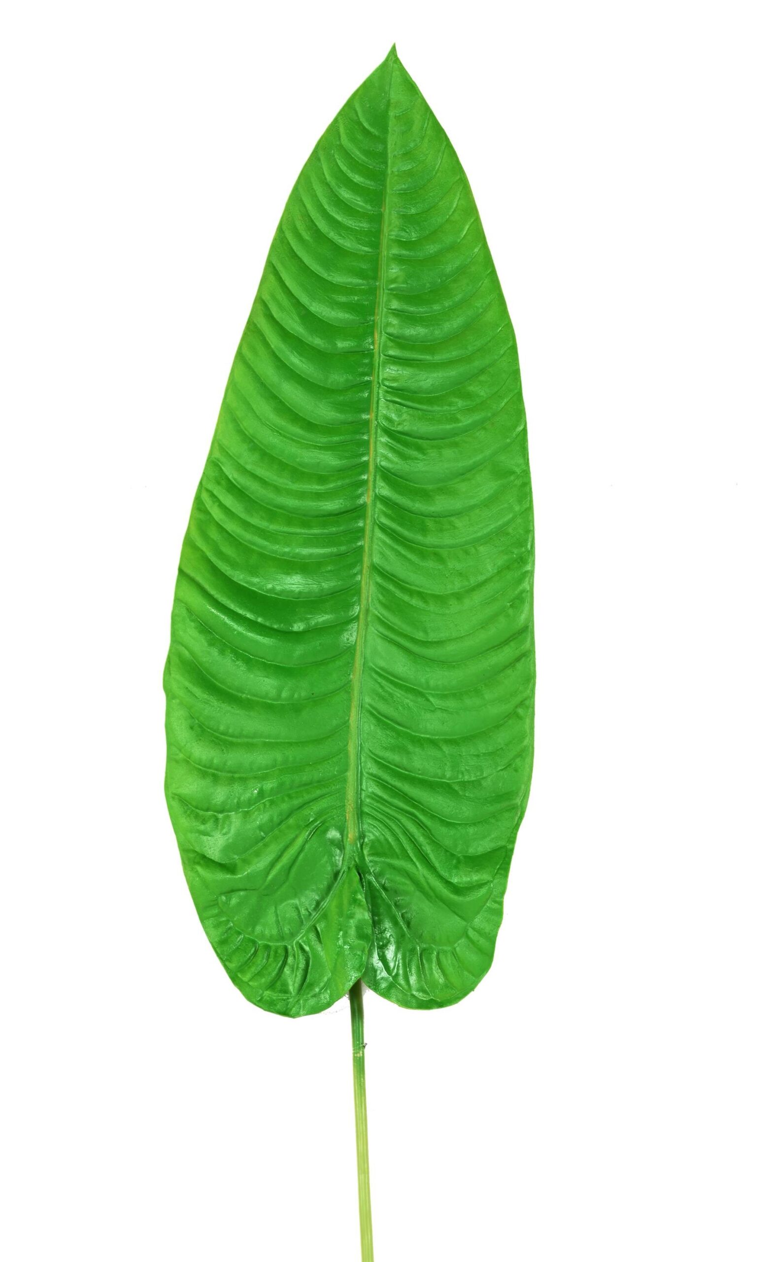 Künstlicher Alocasia Blattzweig, ca 126cm, grün 1 Künstlicher Alocasia Blattzweig, ca 126cm, grün