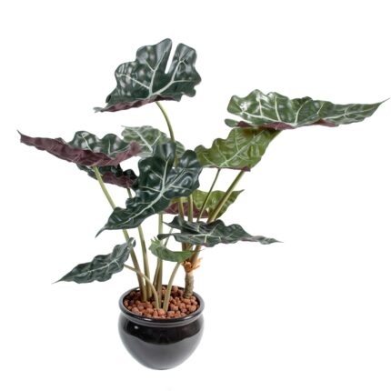 Künstliche Alocasia: Tropisches Flair für Ihr Zuhause