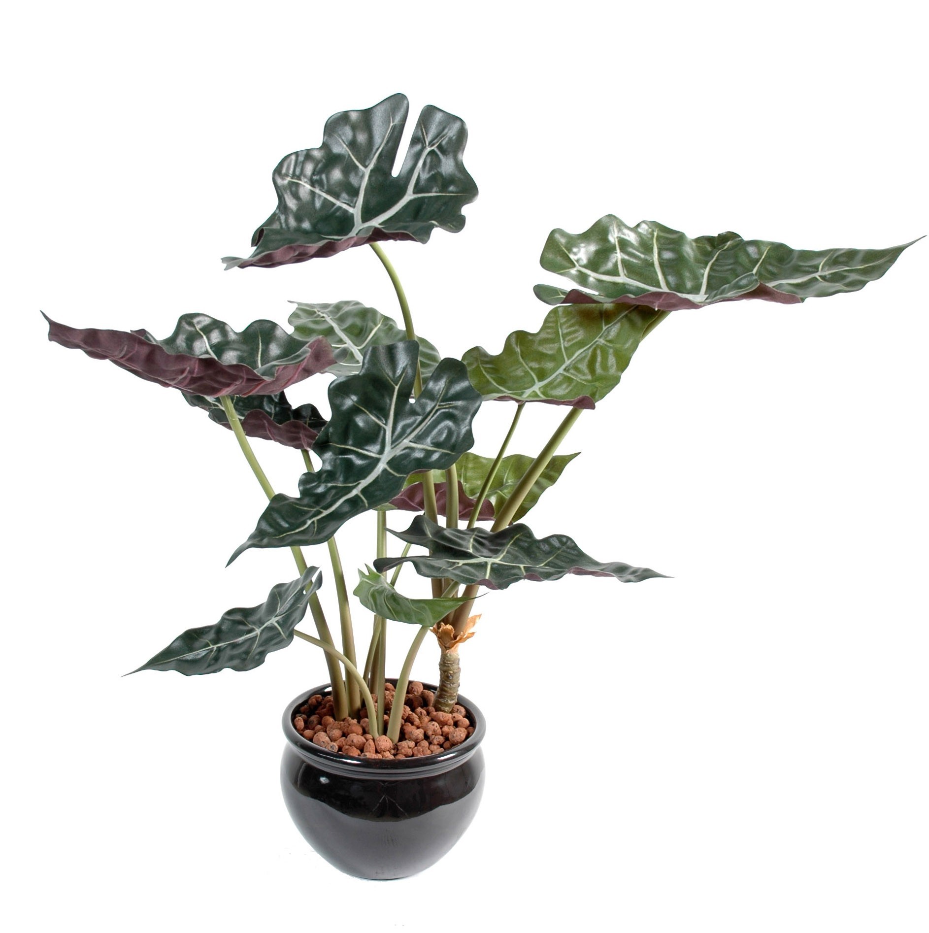 Künstliche Alocasia: Tropisches Flair für Ihr Zuhause 1 Künstliche Alocasia: Tropisches Flair für Ihr Zuhause