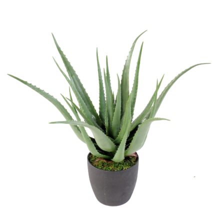 Künstliche Aloe Vera, ca. 70cm hoch, pflegeleicht