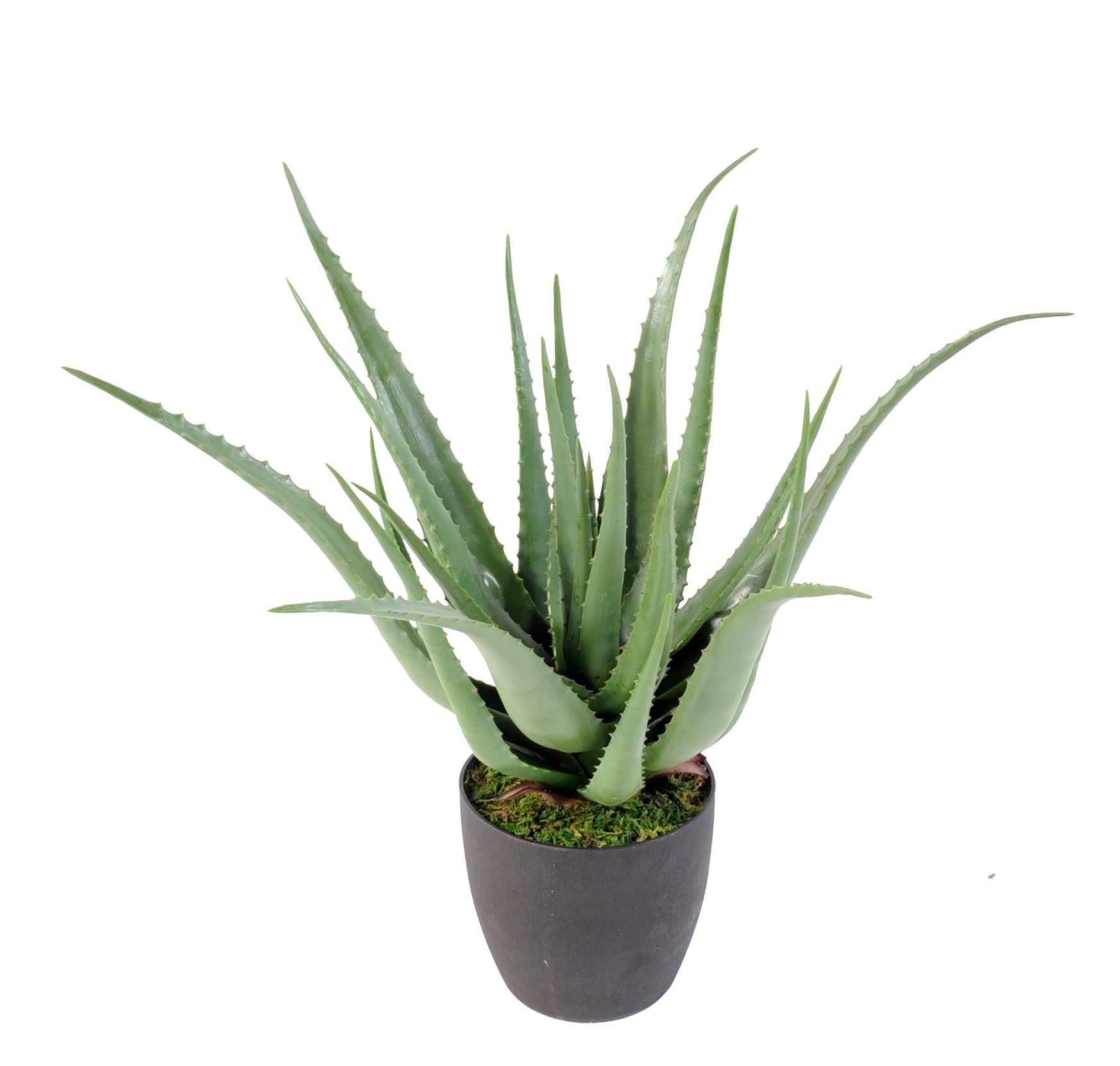 Künstliche Aloe Vera, ca. 70cm hoch, pflegeleicht 1 Künstliche Aloe Vera, ca. 70cm hoch, pflegeleicht