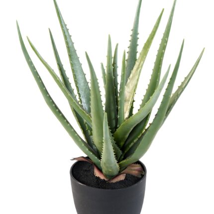 Künstliche Aloe Vera, 48cm hoch, pflegeleicht und grün