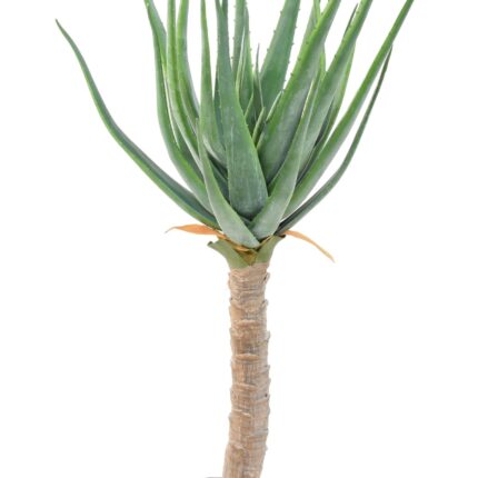 Künstliche Aloe Vera, ca. 125cm hoch, pflegeleicht
