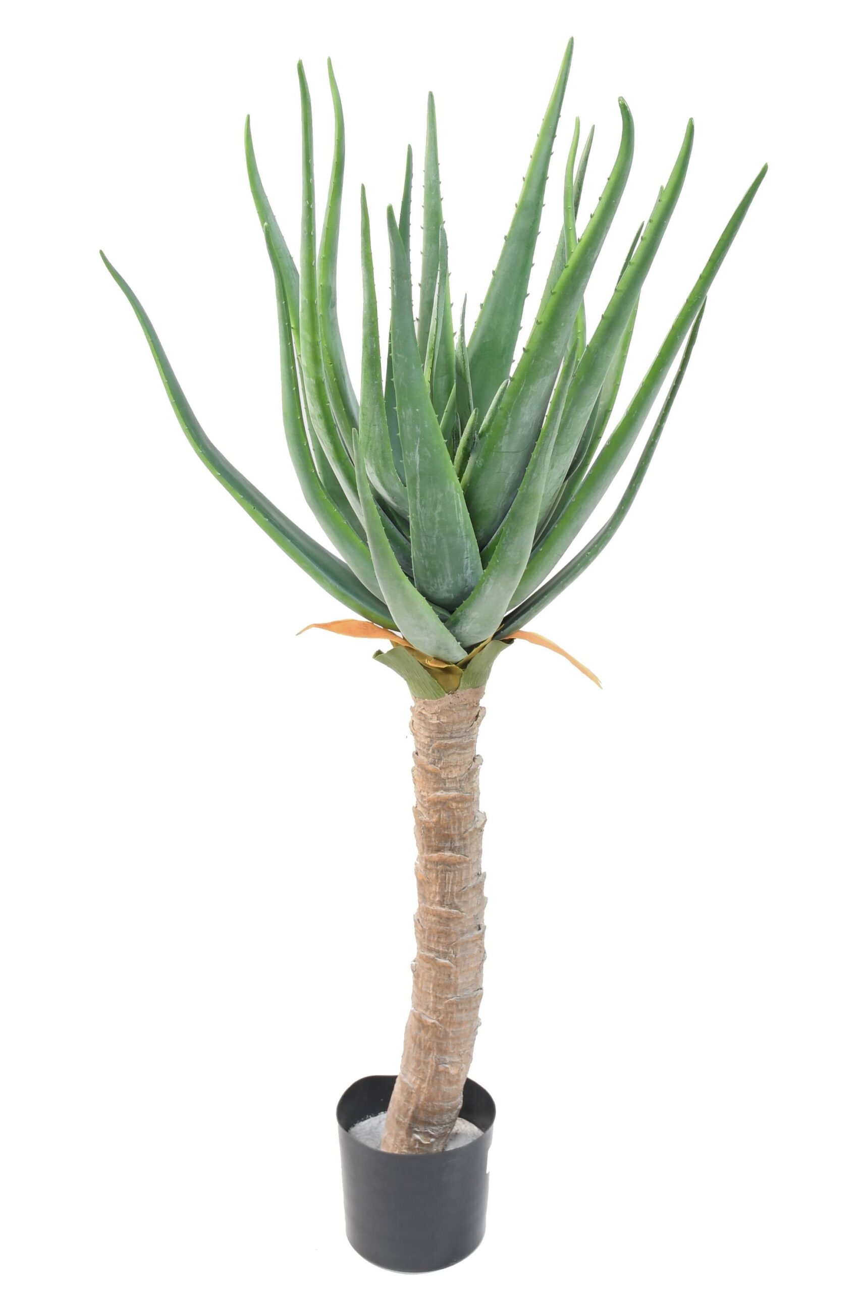 Künstliche Aloe Vera, ca. 125cm hoch, pflegeleicht 1 Künstliche Aloe Vera, ca. 125cm hoch, pflegeleicht