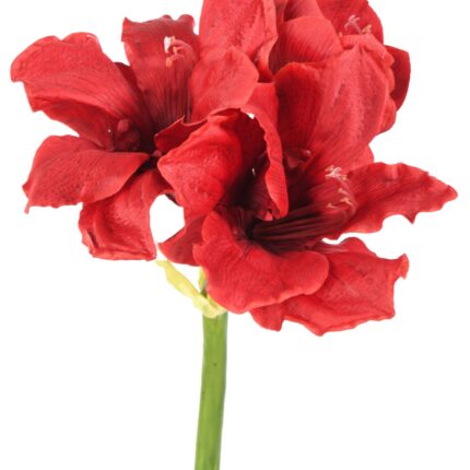 Künstliche Amaryllis, rot, ca. 66cm hoch - Pflegeleicht!