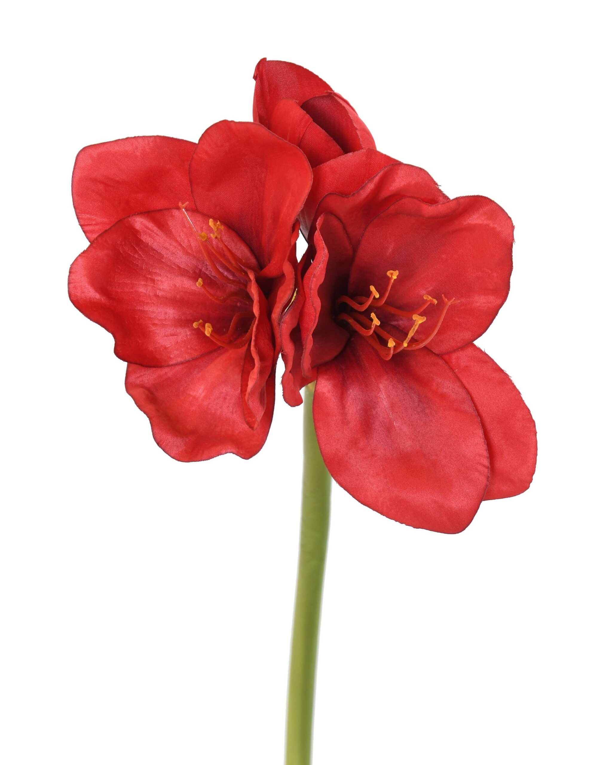 Künstliche Amaryllis, rot, ca. 60cm hoch - Pflegeleicht! 1 Künstliche Amaryllis, rot, ca. 60cm hoch - Pflegeleicht!