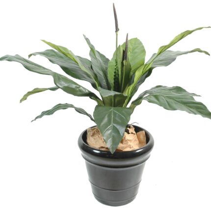 Künstliche Anthurie, ca. 80cm hoch, grün