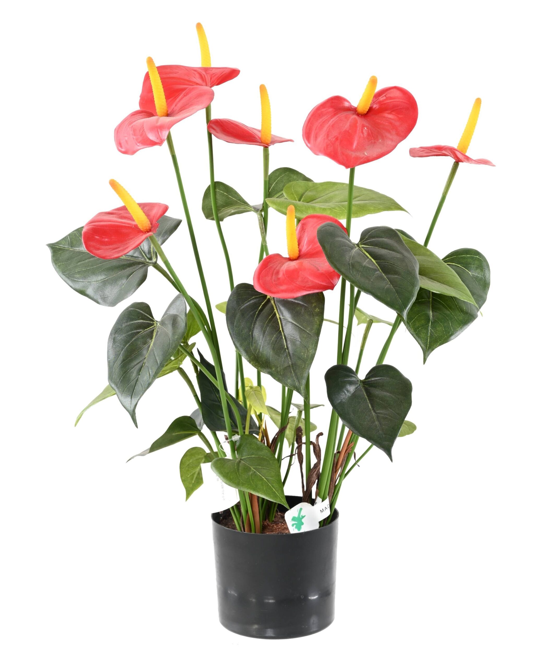 Künstliche Anthurie: Elegante Deko für Ihr Zuhause 1 Künstliche Anthurie: Elegante Deko für Ihr Zuhause