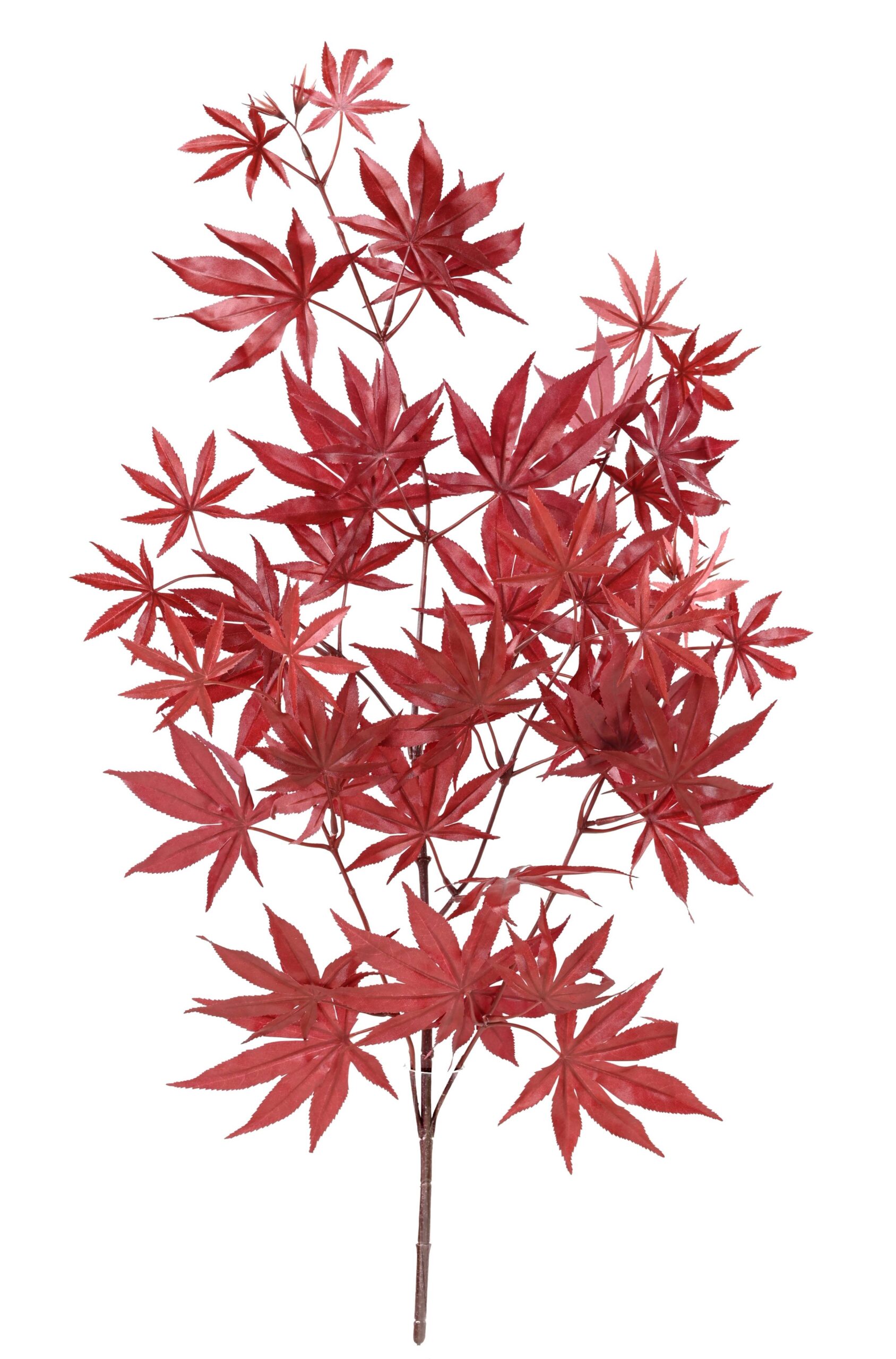 Künstlicher Aralia Zweig, ca 70cm, rot 1 Künstlicher Aralia Zweig, ca 70cm, rot