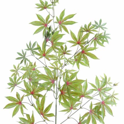 Künstlicher Aralia Zweig, ca 70cm, grün-rot