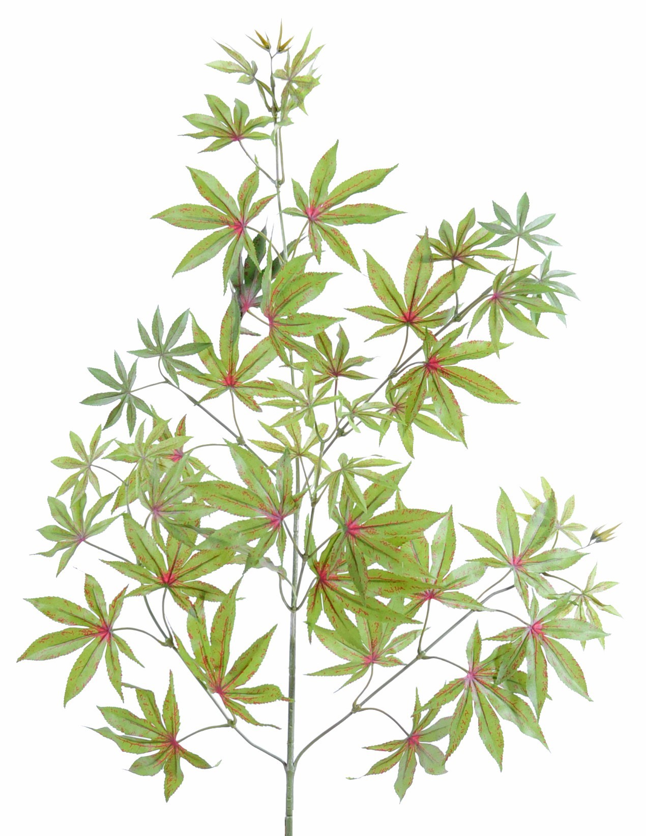 Künstlicher Aralia Zweig, ca 70cm, grün-rot 1 Künstlicher Aralia Zweig, ca 70cm, grün-rot