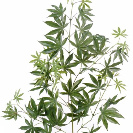 Künstlicher Aralia Zweig, ca 70cm, grün