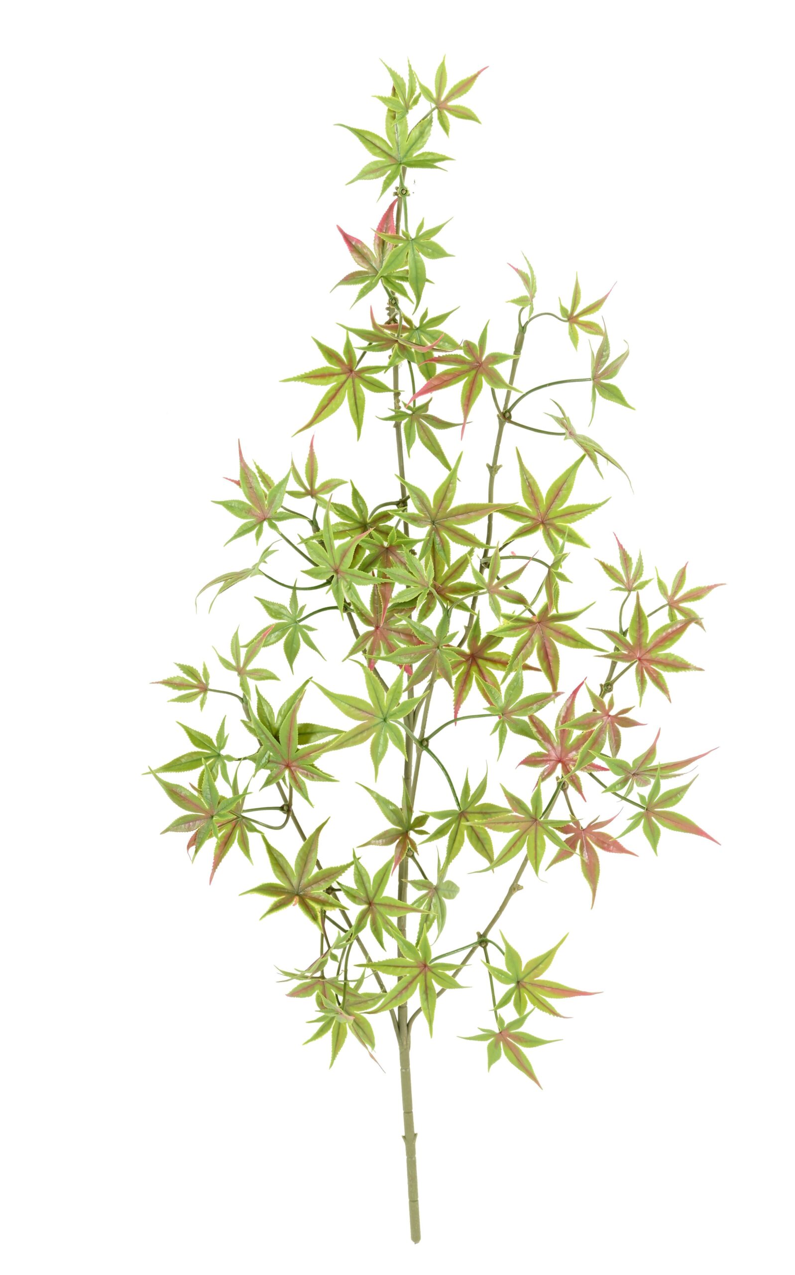 Künstlicher Aralia Zweig, ca 70cm, UV-beständig, grün-rot 1 Künstlicher Aralia Zweig, ca 70cm, UV-beständig, grün-rot