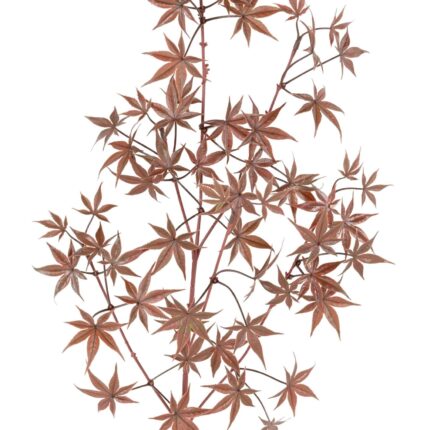 Künstlicher Aralia Zweig, ca 70cm, UV-beständig, rot