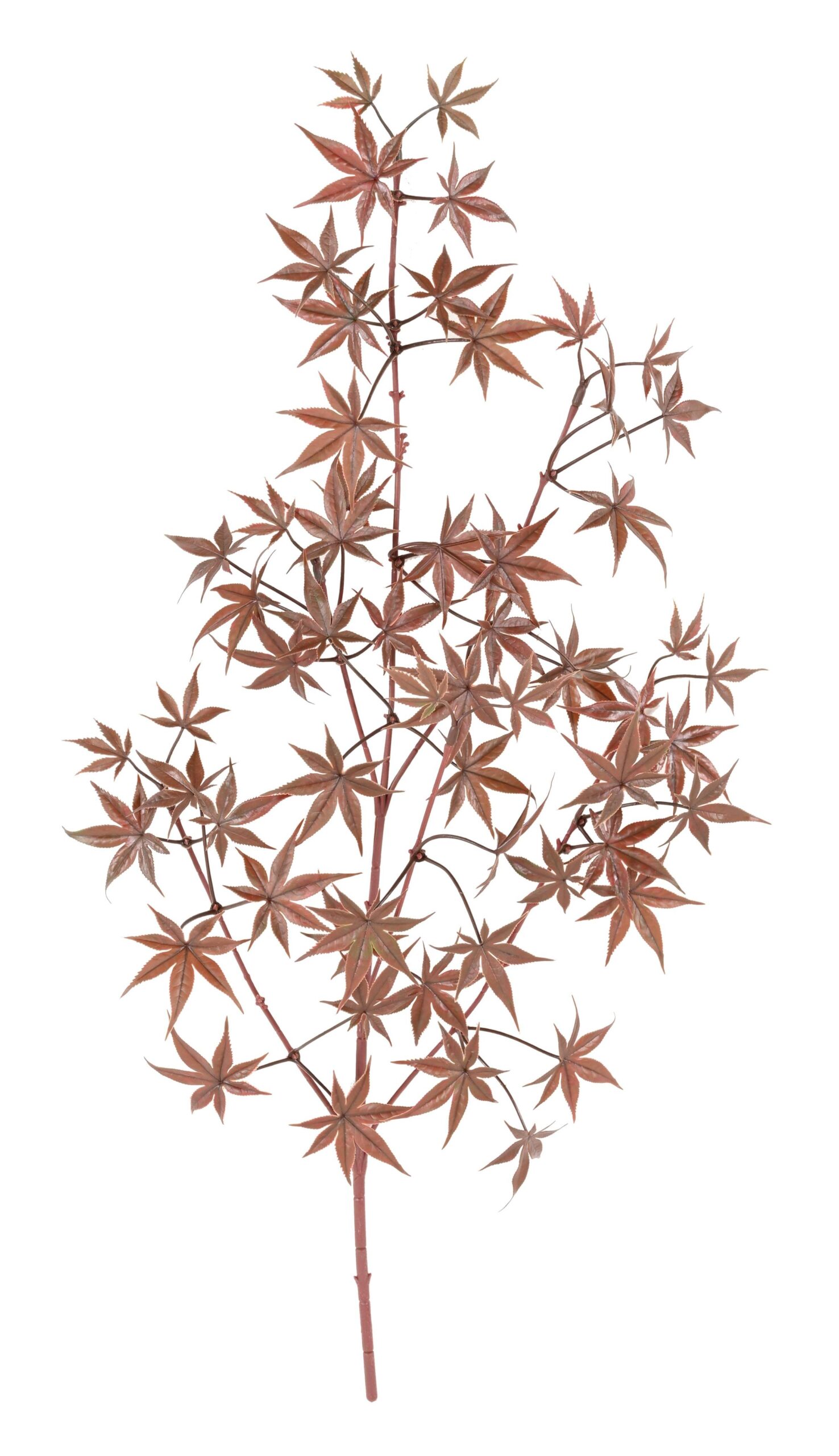 Künstlicher Aralia Zweig, ca 70cm, UV-beständig, rot 1 Künstlicher Aralia Zweig, ca 70cm, UV-beständig, rot