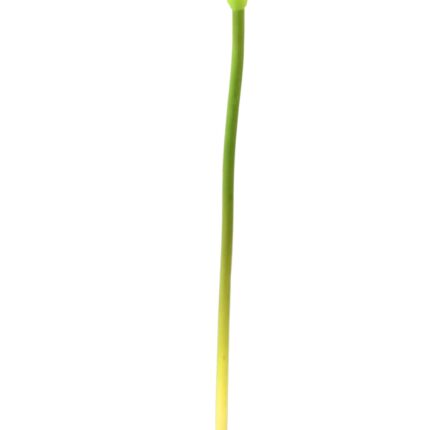 Künstliche Arumblume, weiß, ca. 44cm hoch