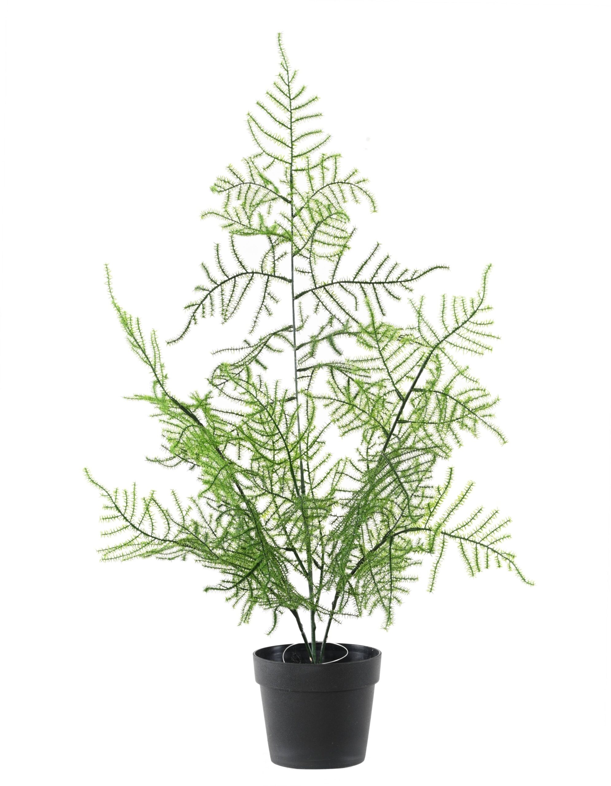 Künstlicher Spargel: UV-beständige Deko für Ihr Zuhause 1 Künstlicher Spargel: UV-beständige Deko für Ihr Zuhause