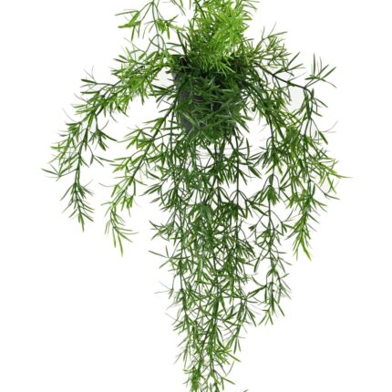 Künstliche Hängepflanze Asparagus, ca. 55cm